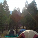 Camp site