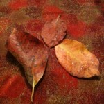 Fall!