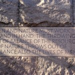 Humanity and nature must work hand in hand